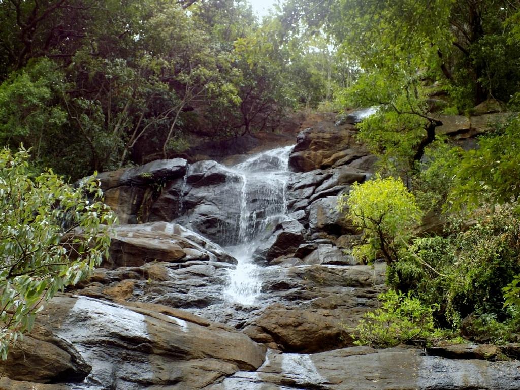 blog image